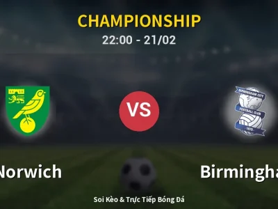 🔴 Trực Tiếp: Norwich 0-2 Birmingham – Link Xem Championship (Full HD)