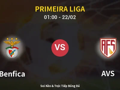Kết Quả: Benfica 3-0 AVS – Highlight & Bàn Thắng | Primeira Liga