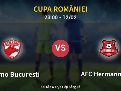 Soi Kèo Dinamo Bucuresti vs AFC Hermannstadt – 23:00 12/02 | Nhận Định, Dự Đoán Tỷ Số