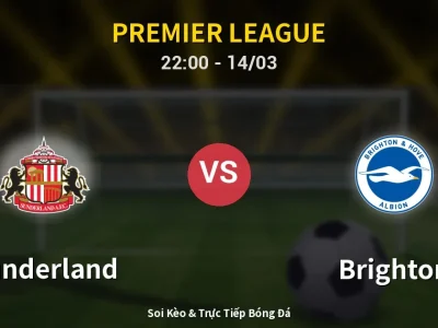 🔴 Trực Tiếp: Sunderland 0-0 Brighton – Link Xem Premier League (Full HD)