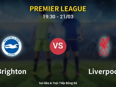 🔴 Trực Tiếp: Brighton 2-1 Liverpool – Link Xem Premier League (Full HD)