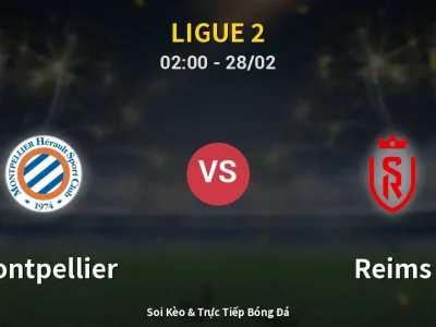 Kết Quả: Montpellier 0-0 Reims – Highlight & Bàn Thắng | Ligue 2