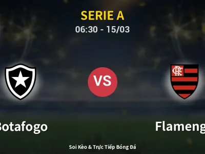 Soi Kèo Botafogo vs Flamengo – 06:30 15/03 | Nhận Định, Dự Đoán Tỷ Số