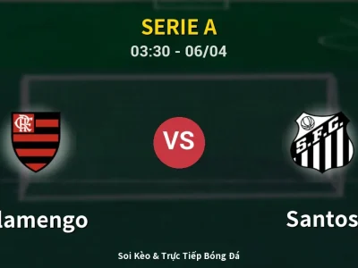 Kết Quả: Flamengo 3-1 Santos – Highlight & Bàn Thắng | Serie A