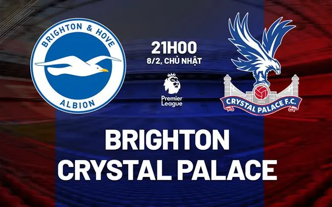 Dự đoán tỷ số Brighton vs Crystal Palace Premier League Dự đoán tỷ số Brighton vs Crystal Palace Premier League